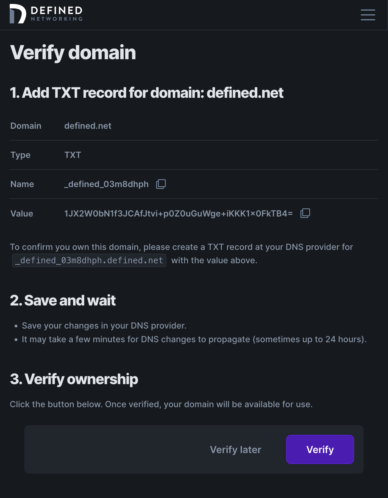 Page that shows instructions for adding a TXT DNS entry to a domain for ownership verification