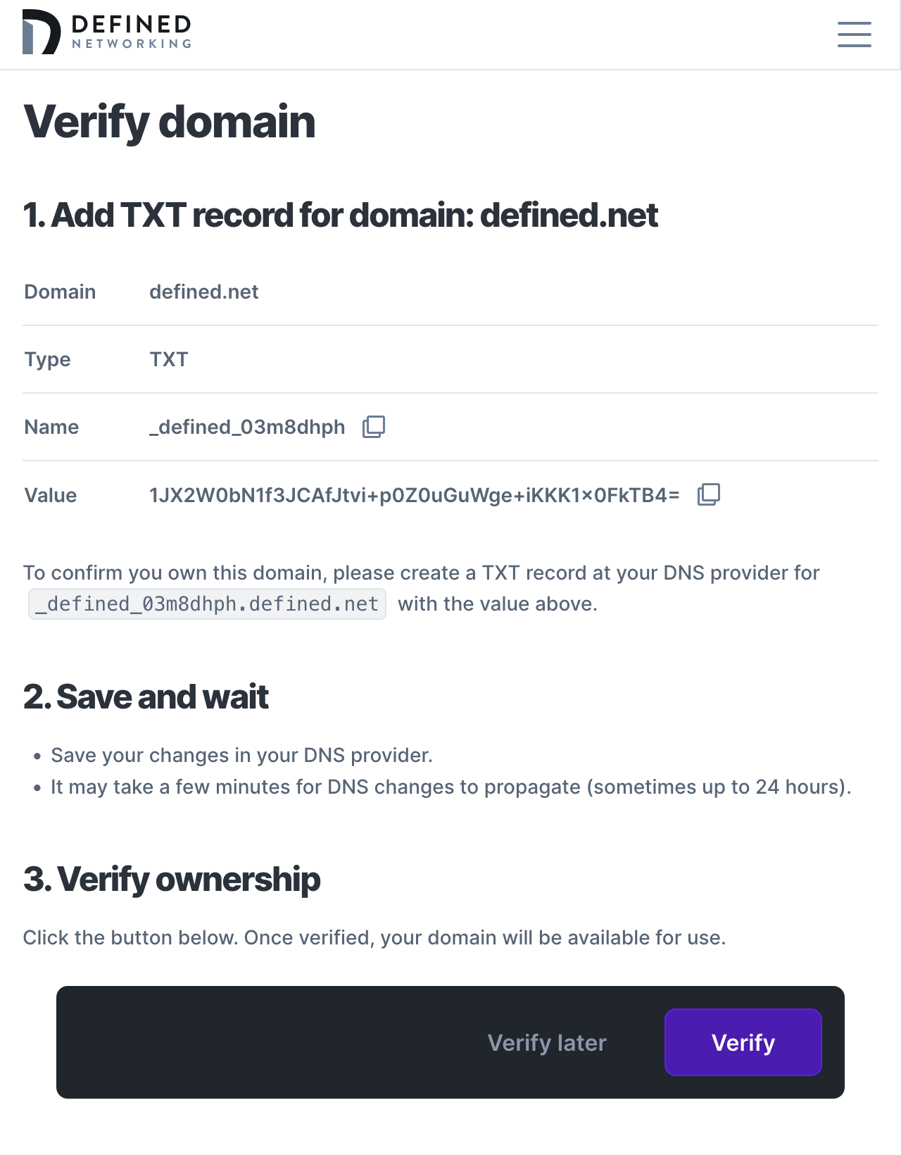 Page that shows instructions for adding a TXT DNS entry to a domain for ownership verification